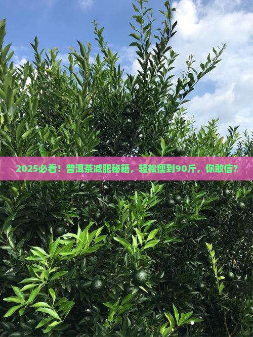 普洱茶减肥减脂瘦到90斤