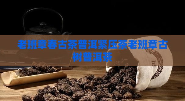 老班章春古茶普洱紧压茶