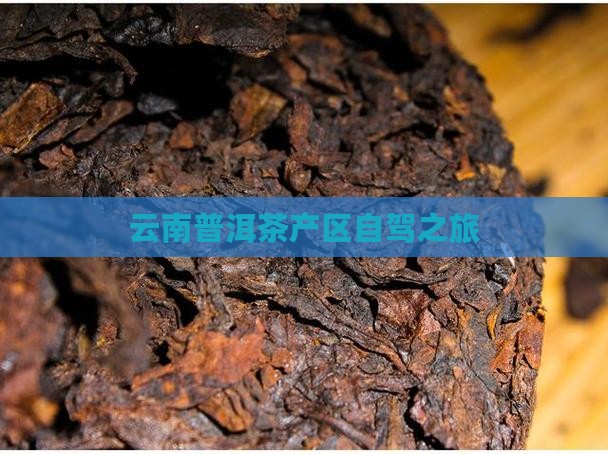 普洱茶产区自驾