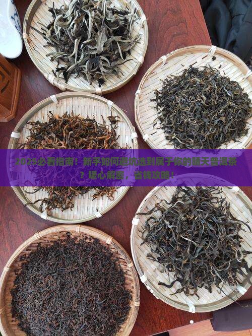 普洱茶属于你的晴天