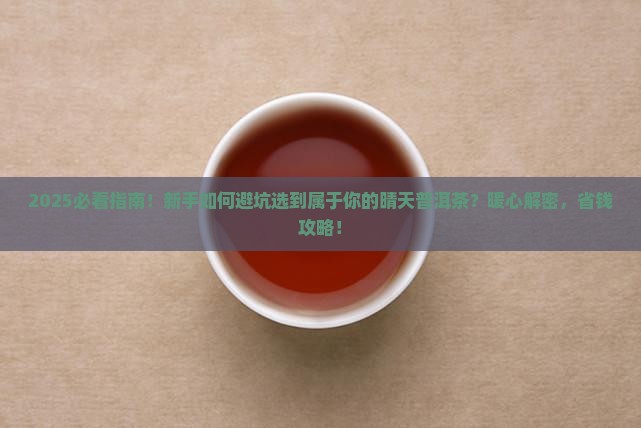 普洱茶属于你的晴天