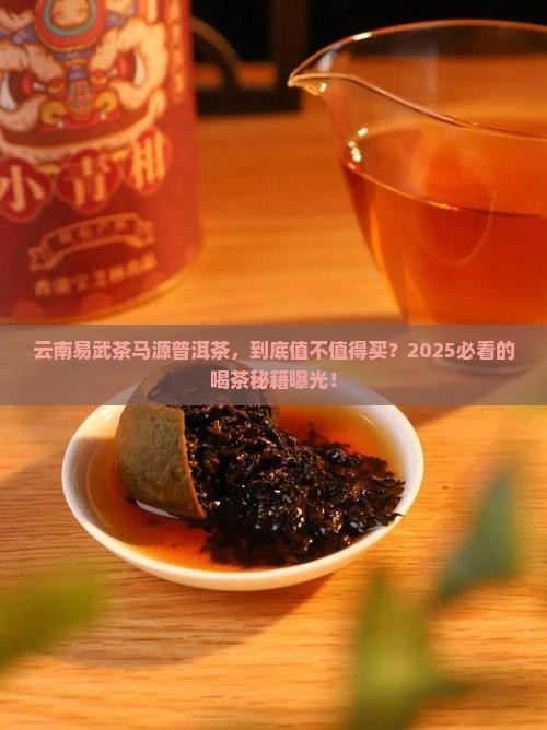云南易武茶马源普洱茶
