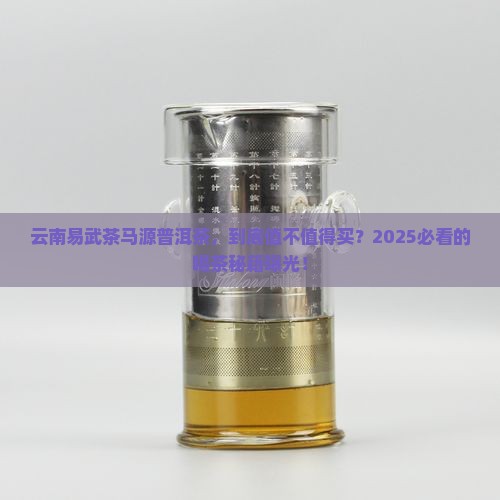 云南易武茶马源普洱茶