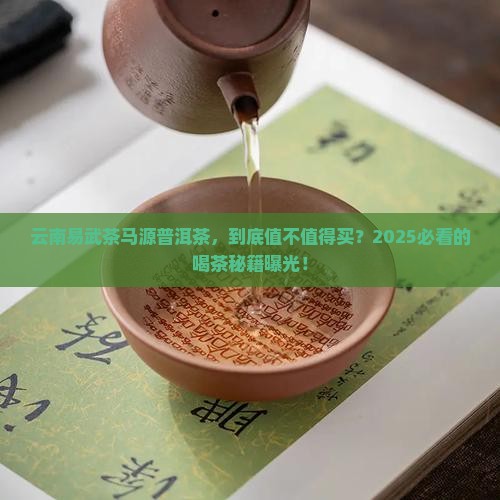 云南易武茶马源普洱茶