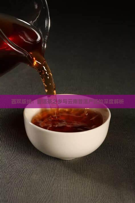 西双版纳是普洱茶之乡吗