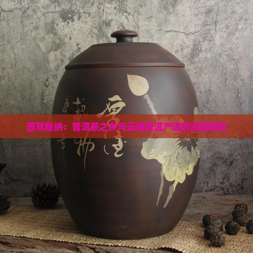 西双版纳是普洱茶之乡吗