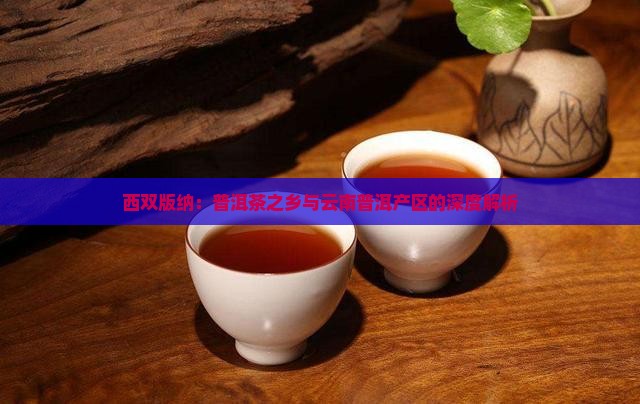 西双版纳是普洱茶之乡吗