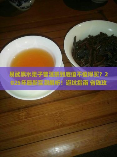 易武黑水梁子普洱茶