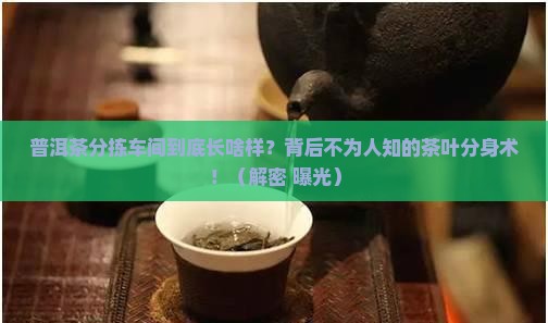什么是普洱茶的分拣车间 什么是普洱茶的分拣车间