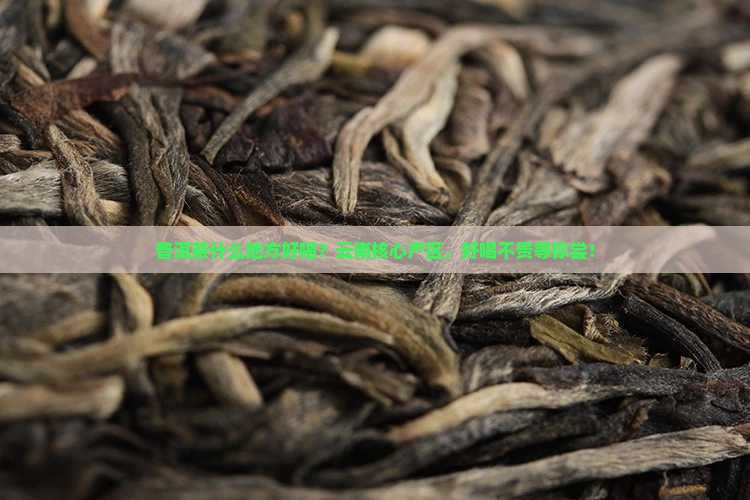 普洱茶什么地方好喝
