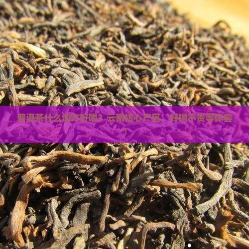 普洱茶什么地方好喝