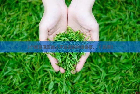 老普洱茶的神奇功效