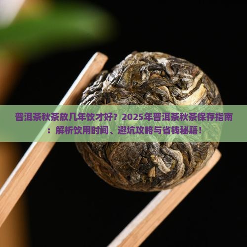 普洱茶秋茶放几年饮才好