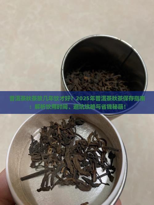 普洱茶秋茶放几年饮才好