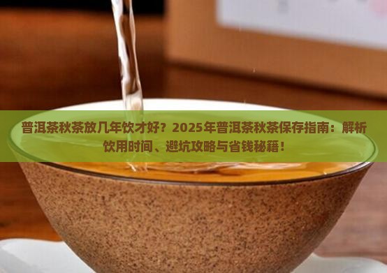 普洱茶秋茶放几年饮才好