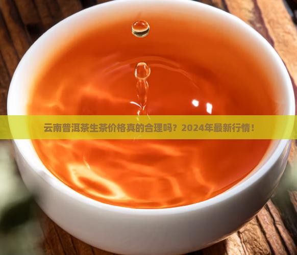 云南普洱茶生茶的价格是多少