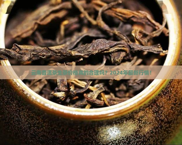 云南普洱茶生茶的价格是多少