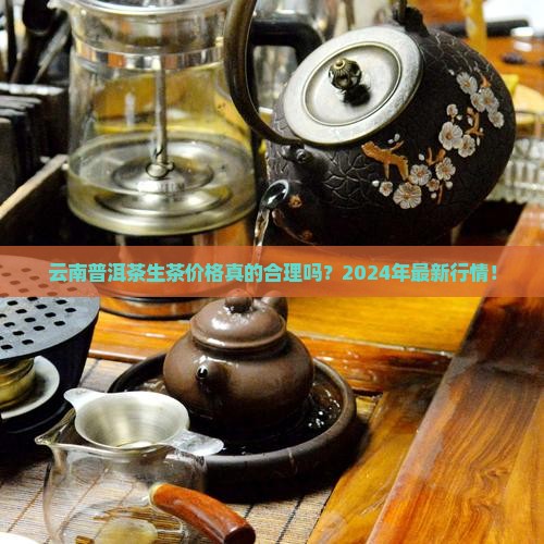 云南普洱茶生茶的价格是多少