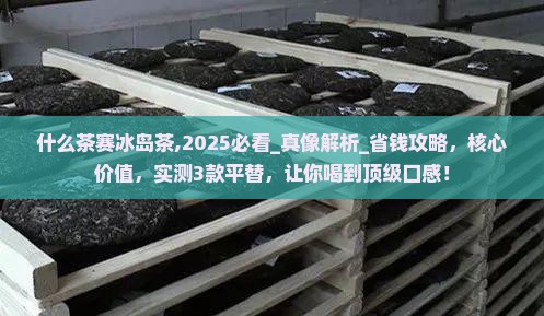 什么茶赛冰岛茶