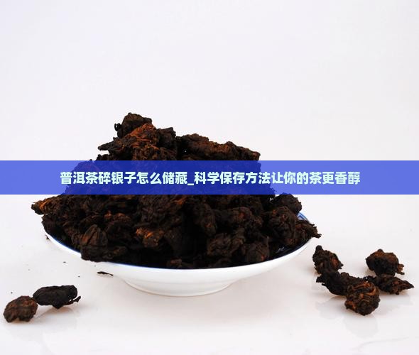 普洱茶碎银子怎么储藏