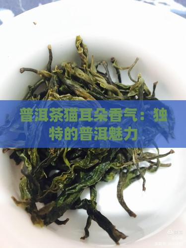 普洱茶猫耳朵香气