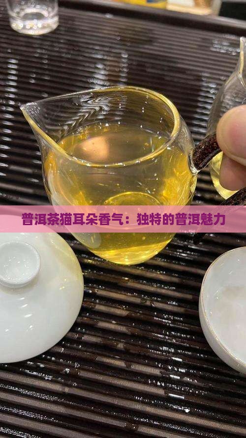 普洱茶猫耳朵香气