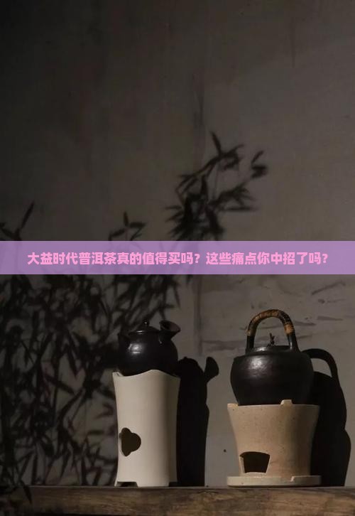 大益时代普洱茶