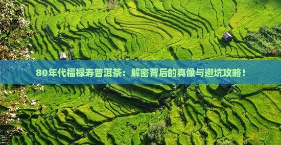 80年代福禄寿普洱茶