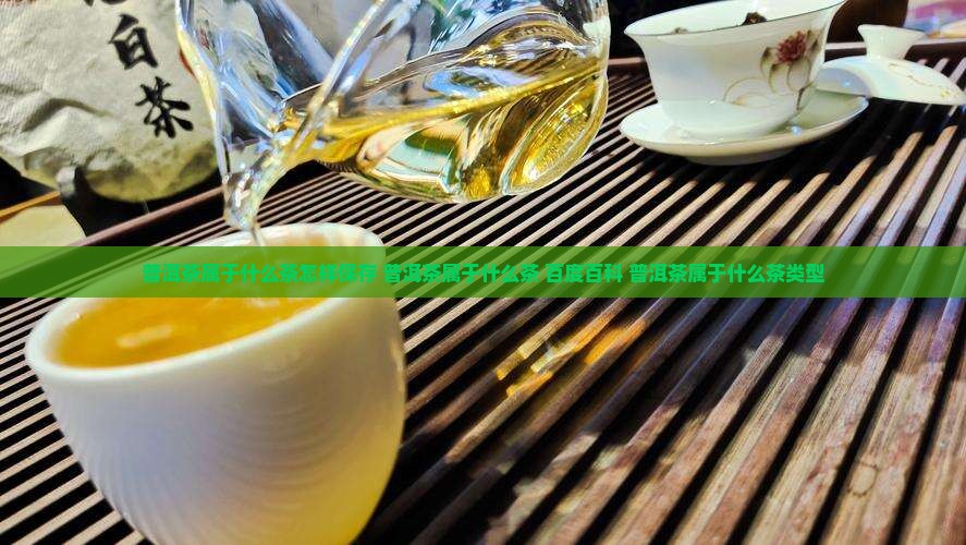 普洱茶属于什么茶怎样保存