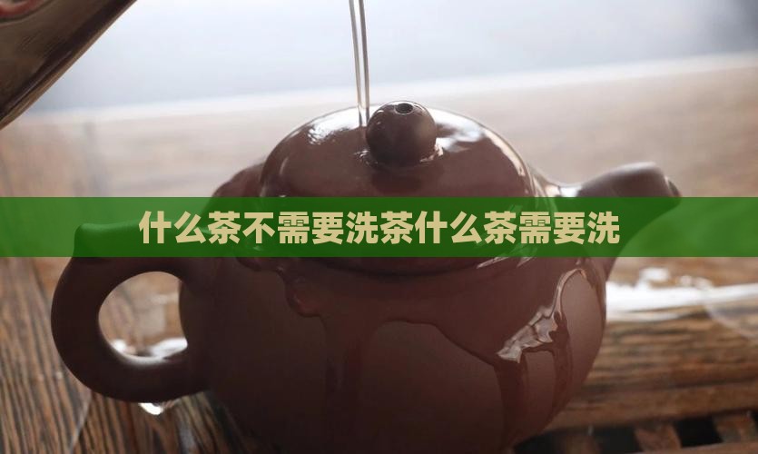 什么茶不需要洗茶什么茶需要洗