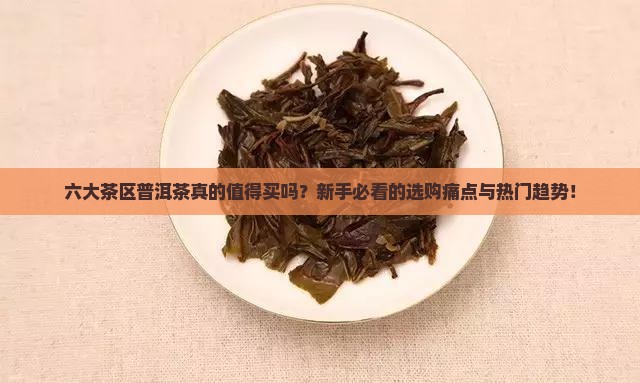六大茶区普洱茶