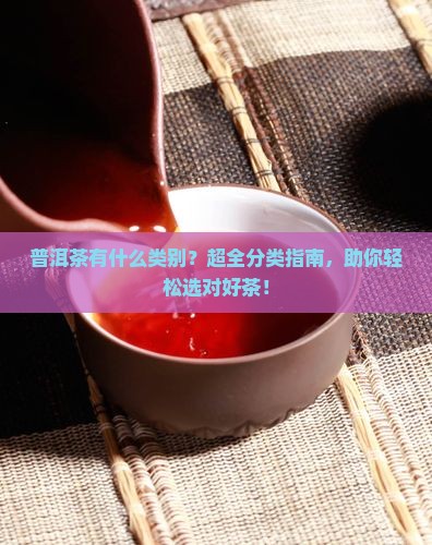 普洱茶有什么类别