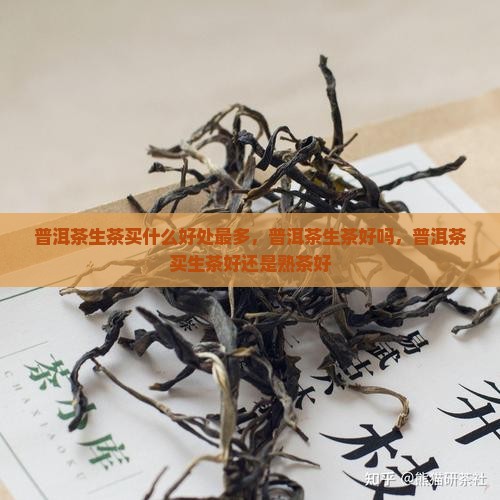 普洱茶生茶买什么好处