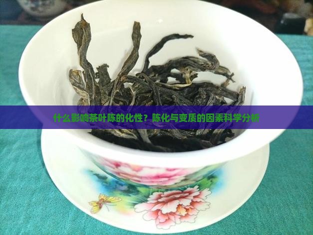 什么是使茶叶变陈的因素