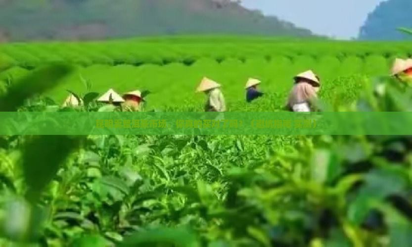 昆明卖普洱茶市场
