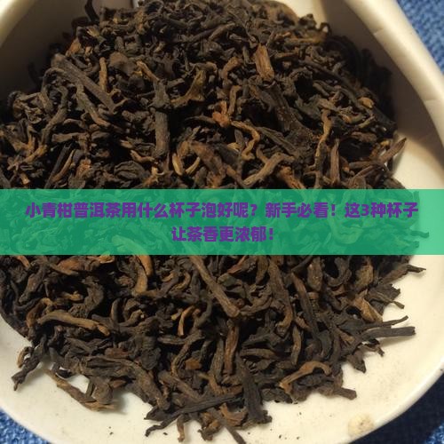 小青柑普洱茶用什么杯子泡好呢