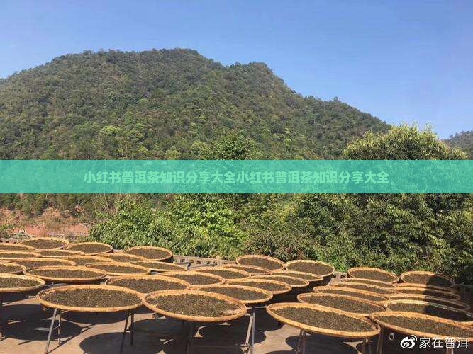 小红书普洱茶知识分享大全