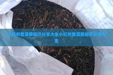 小红书普洱茶知识分享大全
