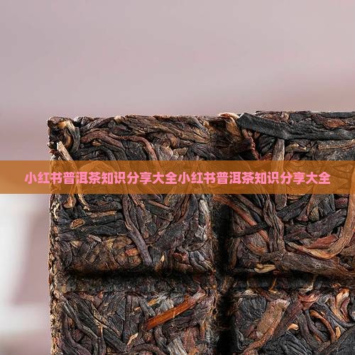 小红书普洱茶知识分享大全