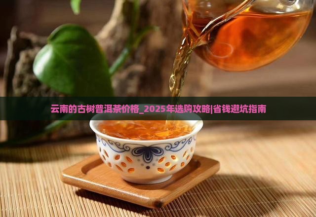 云南的古树普洱茶价格 云南的古树普洱茶价格