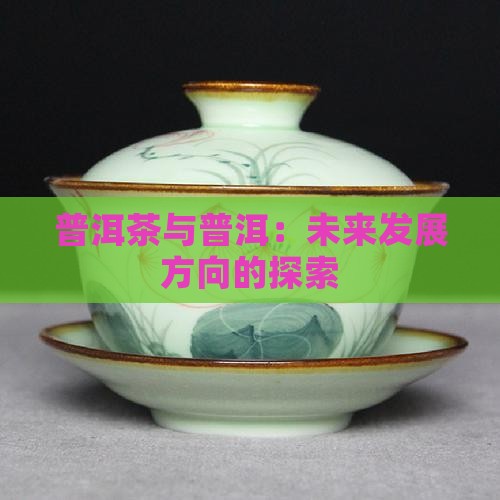 普洱茶将来发展方向