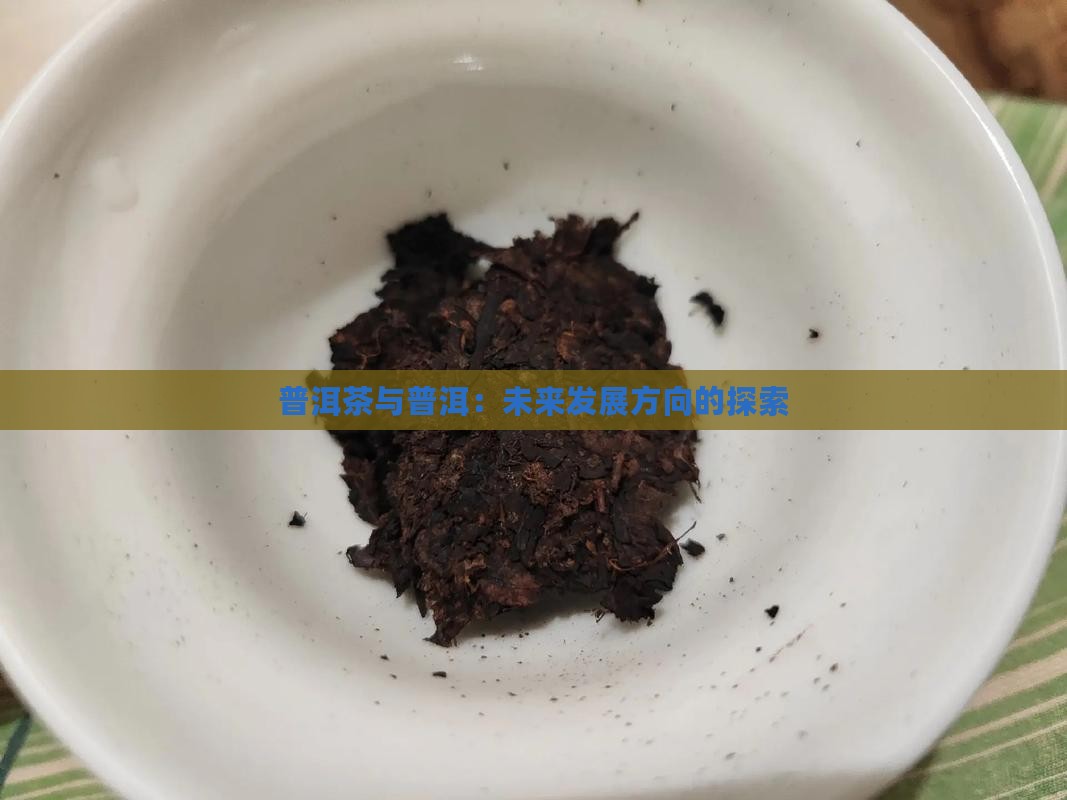 普洱茶将来发展方向