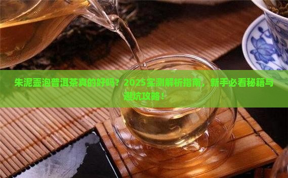 朱泥壶能泡普洱茶吗