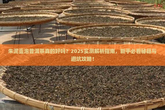 朱泥壶能泡普洱茶吗