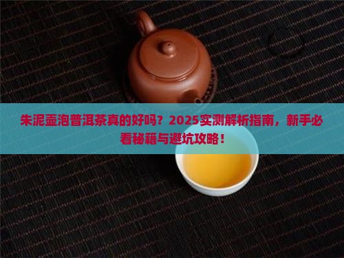 朱泥壶能泡普洱茶吗