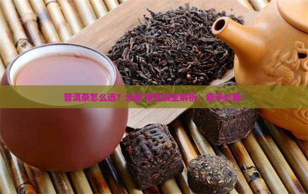 普洱茶分类及茶名表
