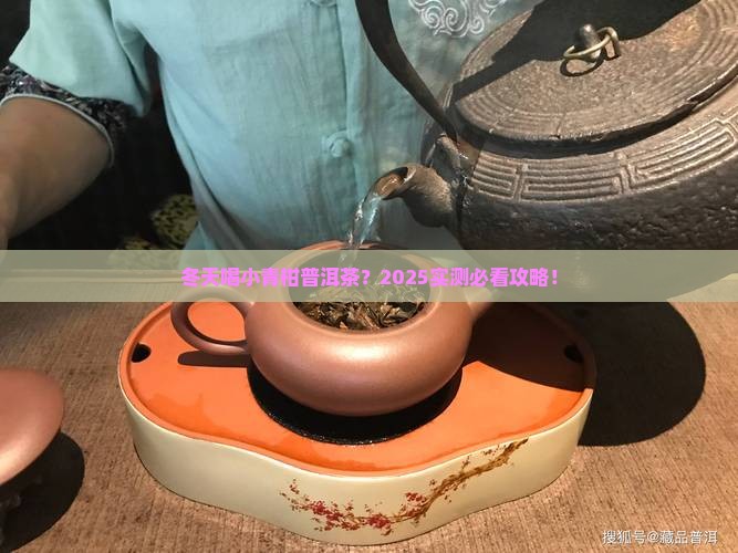小青柑普洱茶冬天能喝吗