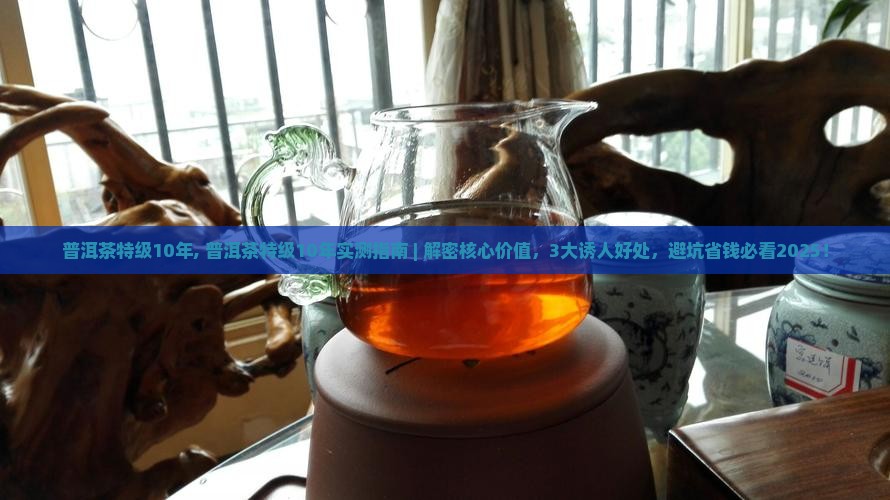 普洱茶特级10年