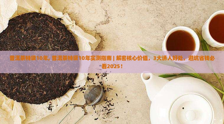 普洱茶特级10年