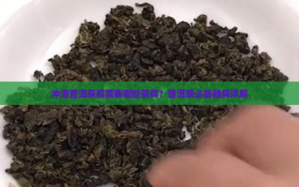 喝普洱茶都需要什么器具